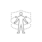 connected body fascia body